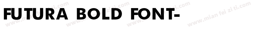 FUTURA BOLD FONT字体转换